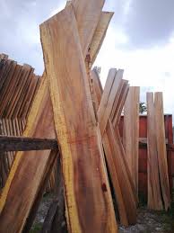 Cenízaro wood of sustainable origin ready for export