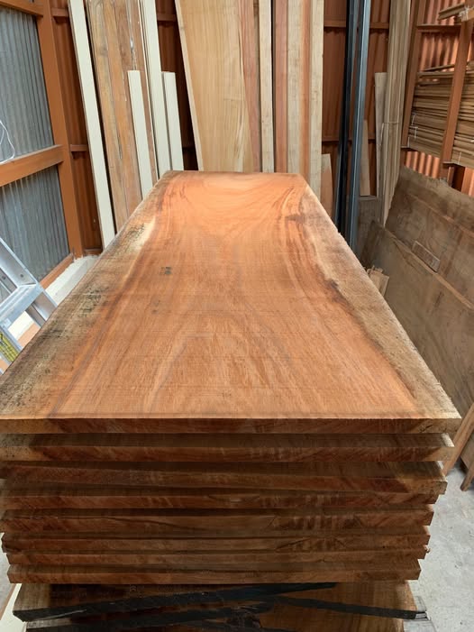 Guanacaste wood of sustainable origin ready for export